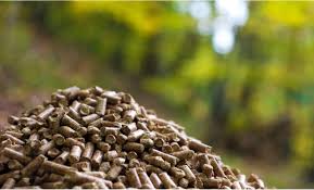 Biomass Fuel